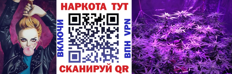 Как найти наркотики Каменногорск Амфетамин Кокаин Мефедрон Гашиш
