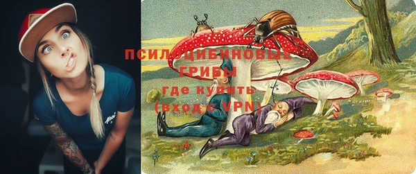 jwh Протвино