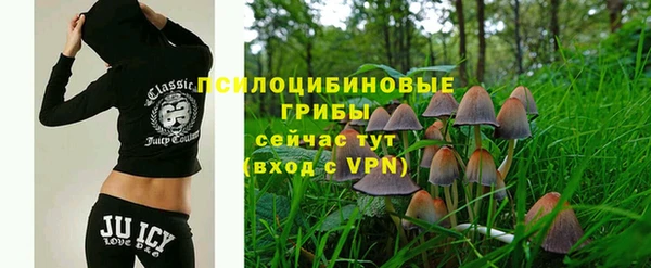 гидропоника Пролетарск